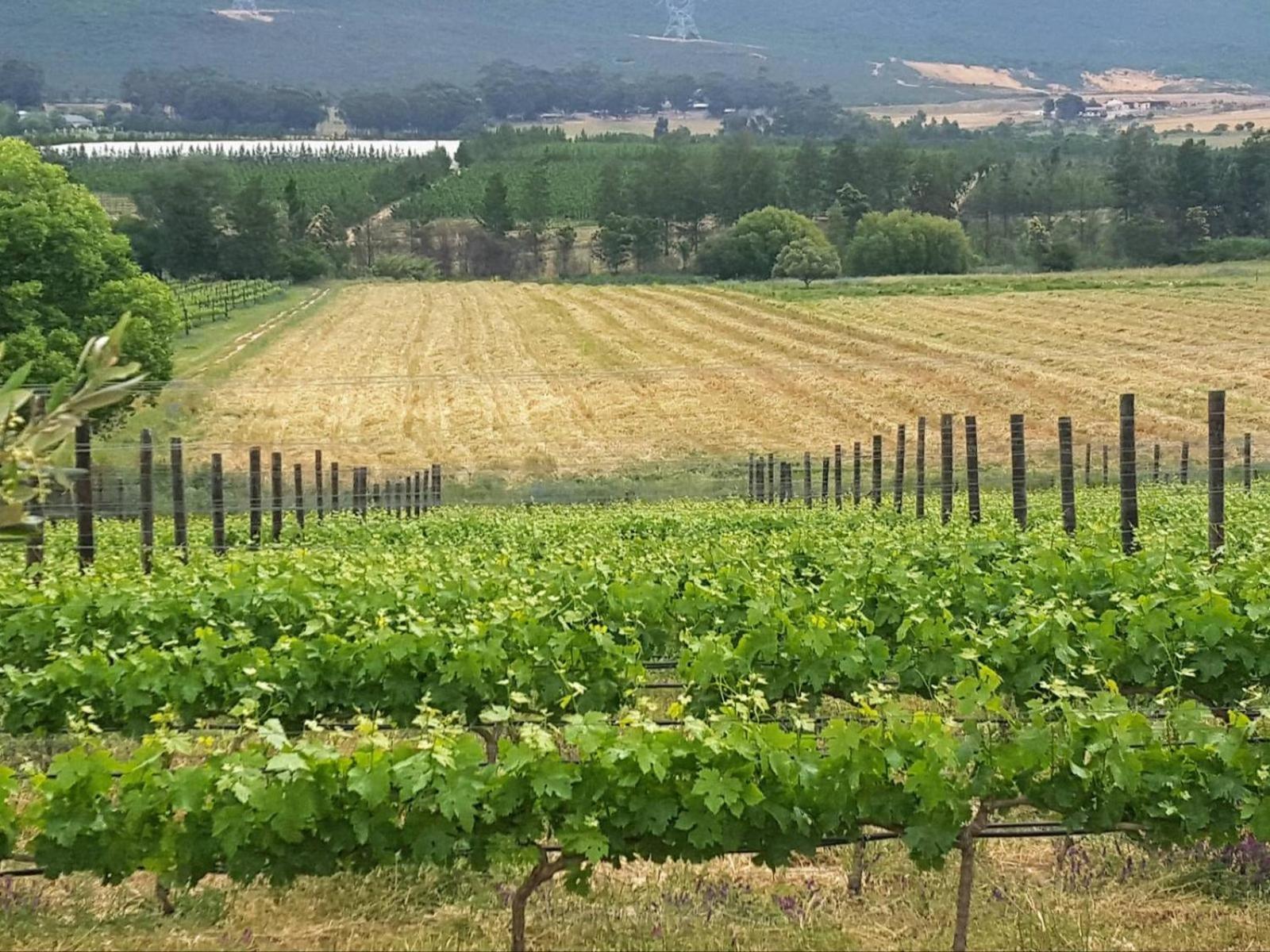 Lemberg Wine Estate Villa Tulbagh Exterior foto